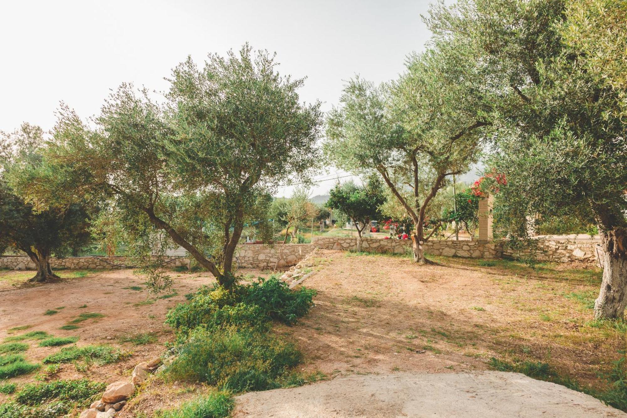 Olive Camping Himare Exterior photo