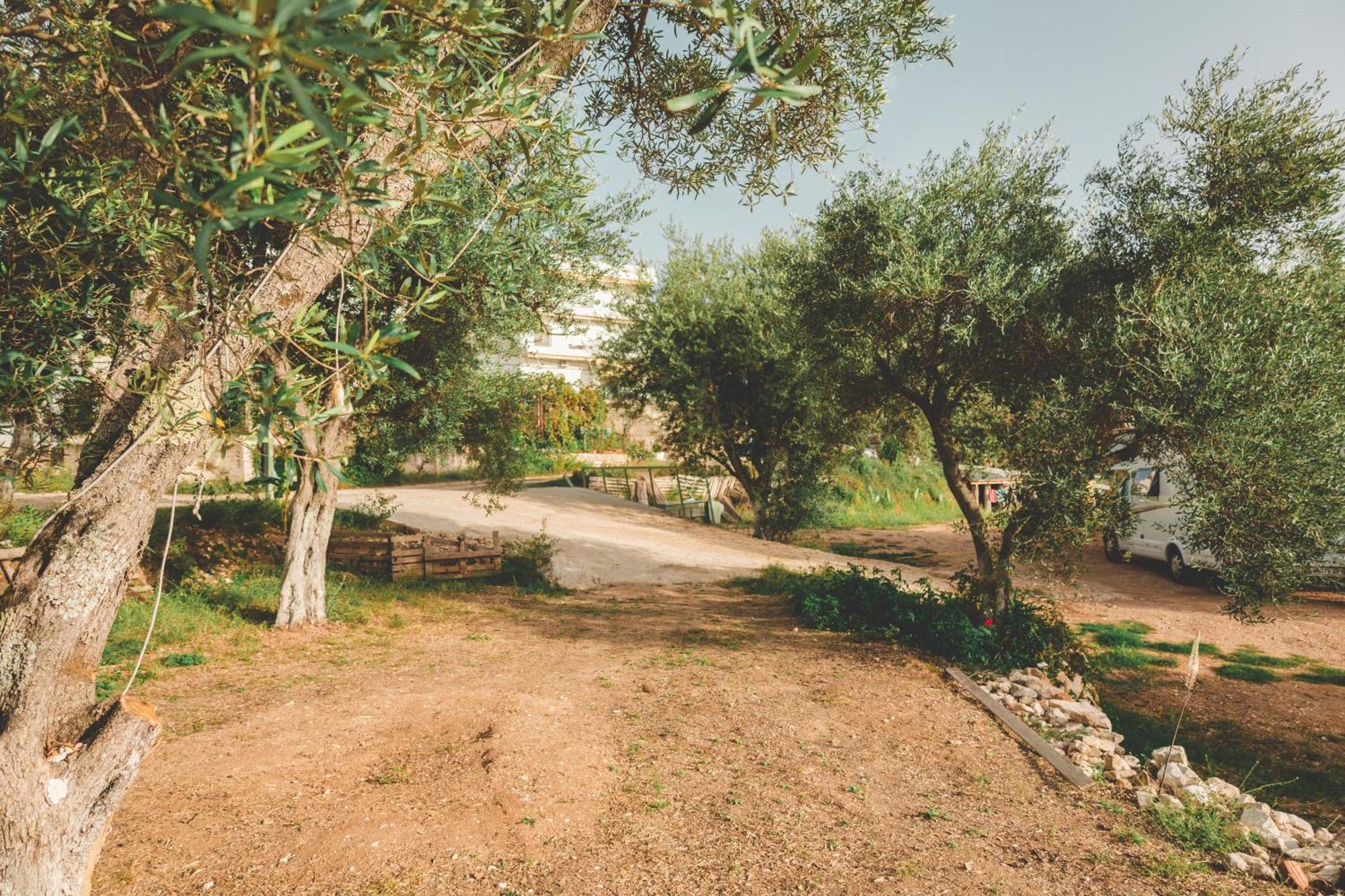 Olive Camping Himare Exterior photo