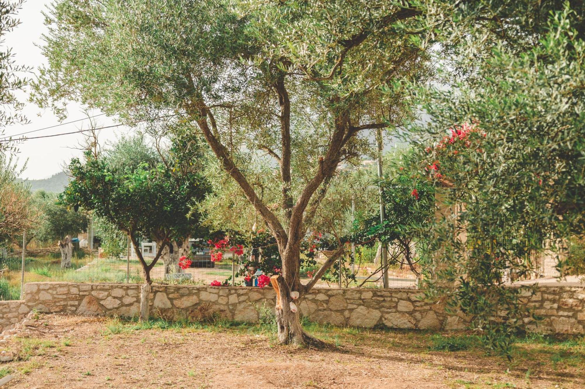Olive Camping Himare Exterior photo