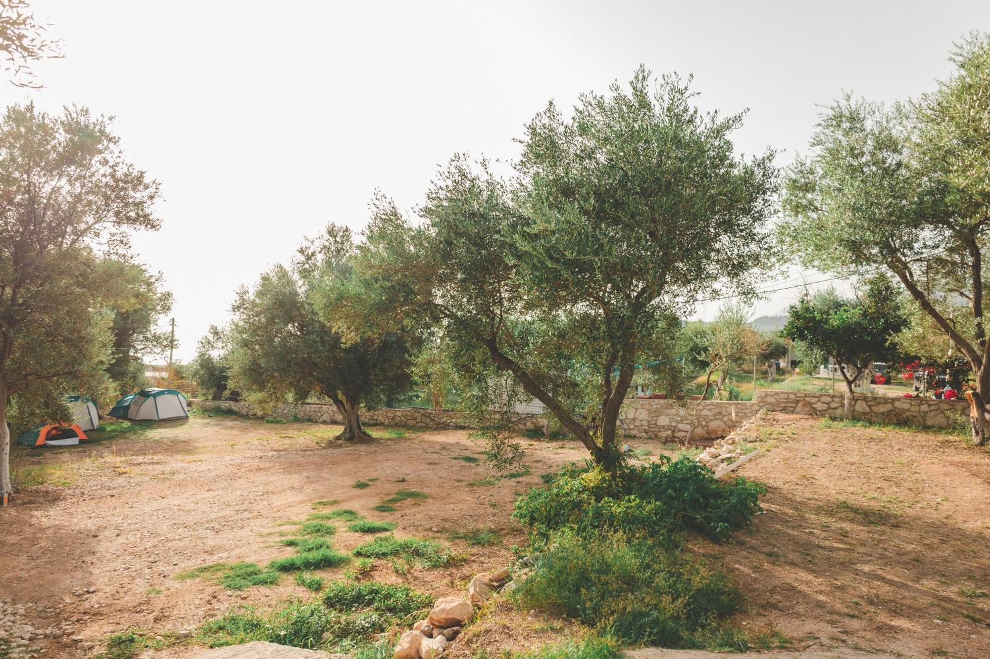 Olive Camping Himare Exterior photo