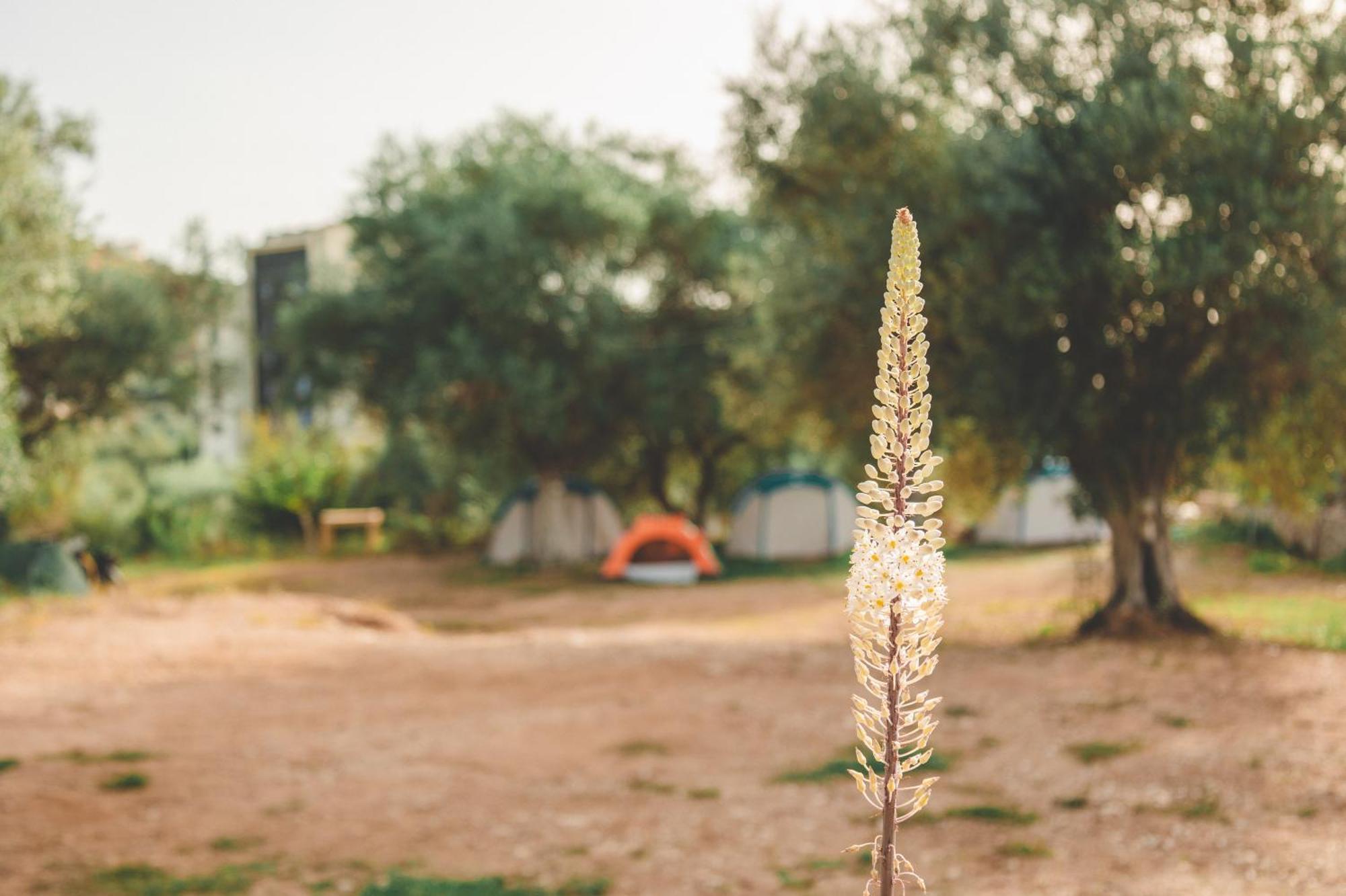 Olive Camping Himare Exterior photo